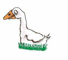 Eine Ente Gras